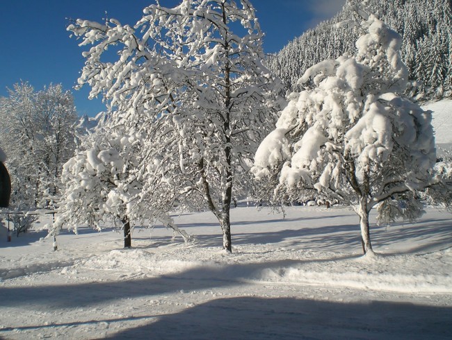 Winterwandern in Werfenweng